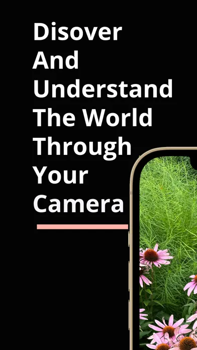 What am I looking at? Screenshots