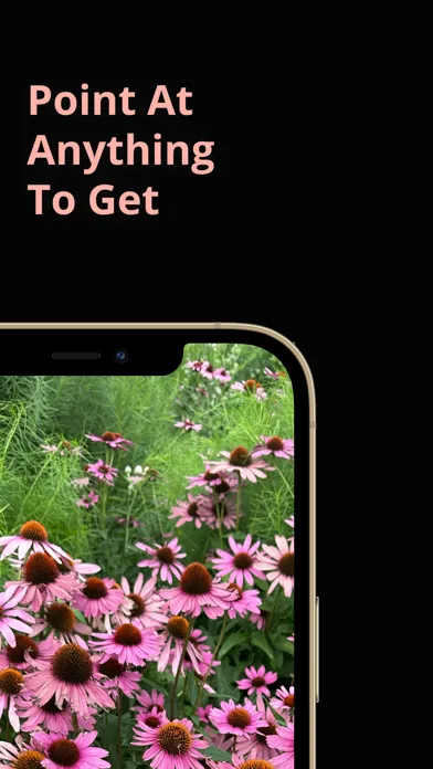 What am I looking at? Screenshots