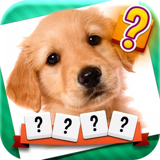 Word & Picture Quiz: one word, one photo, one answer! Word & Picture Quiz: one word, one photo, one answer!