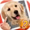 Scratch Quiz - Can You Find The Secret Image?