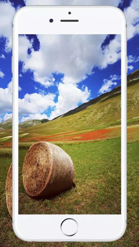 Wallpapers Download स्क्रीनशॉट