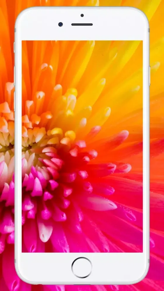 Wallpapers Download स्क्रीनशॉट