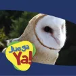 JuegoLechuza