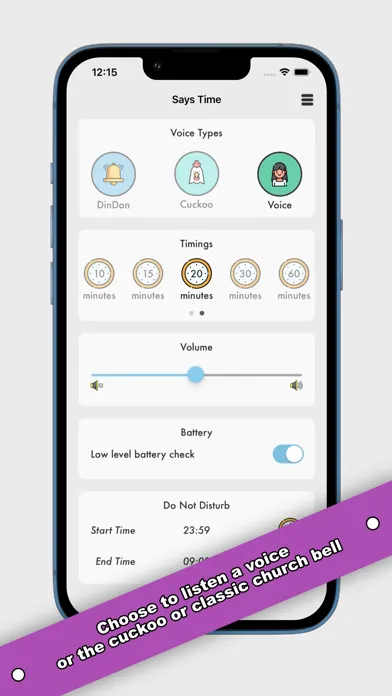 Screenshot di SaysTime