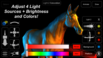 Horse Mannequin应用截图