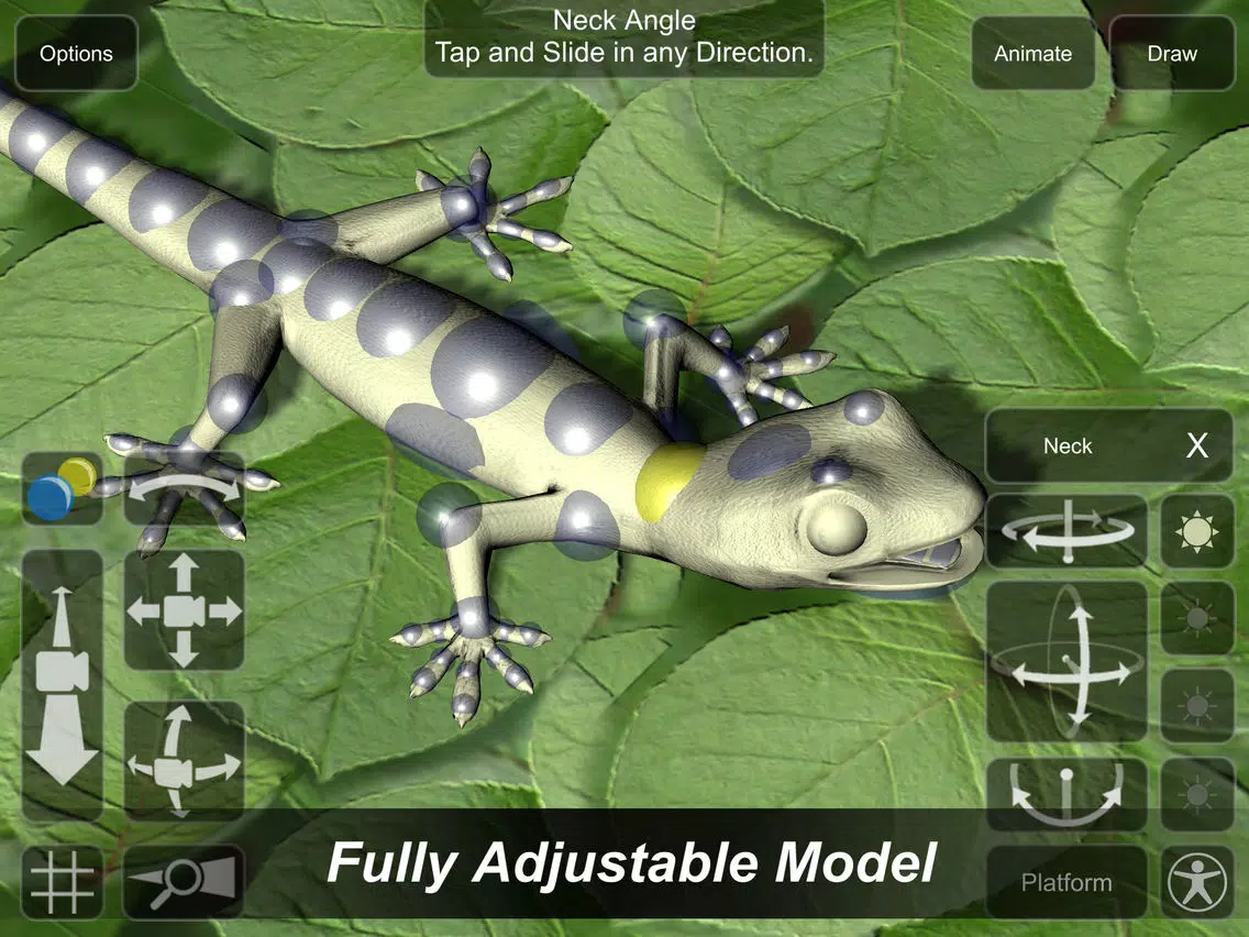 Gecko Mannequin iPad 应用截图