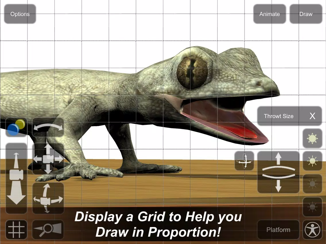 Gecko Mannequin iPad 应用截图