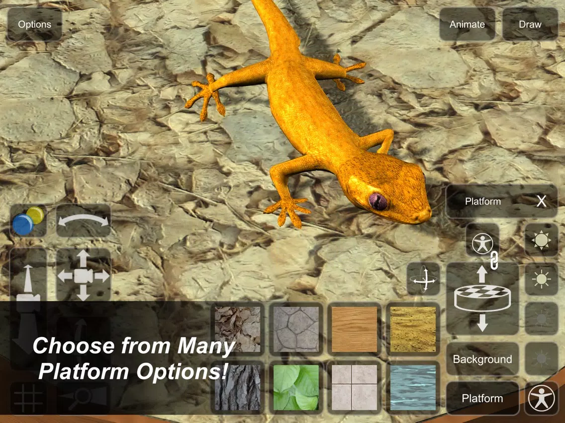 Gecko Mannequin iPad 应用截图