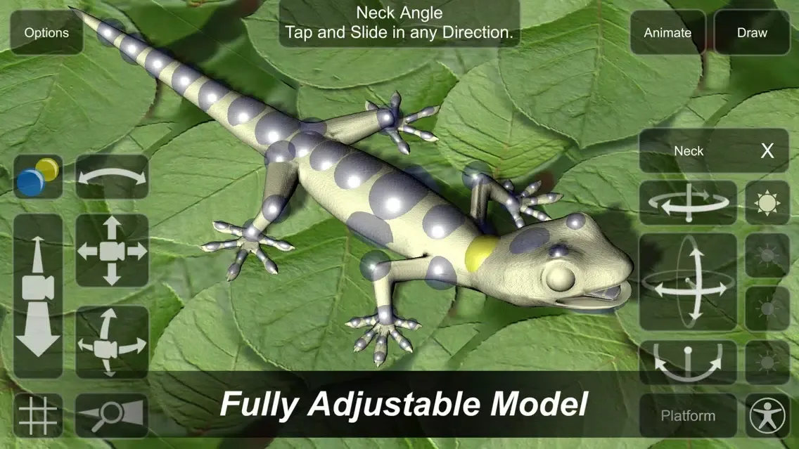 Screenshot di Gecko Mannequin