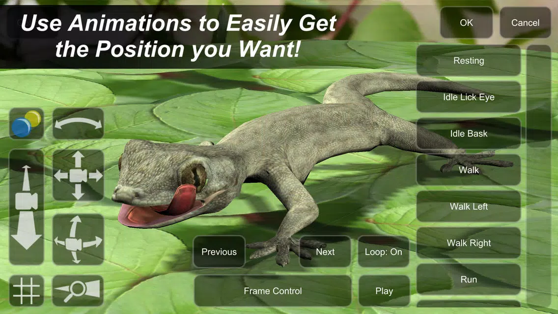 Gecko Mannequin应用截图