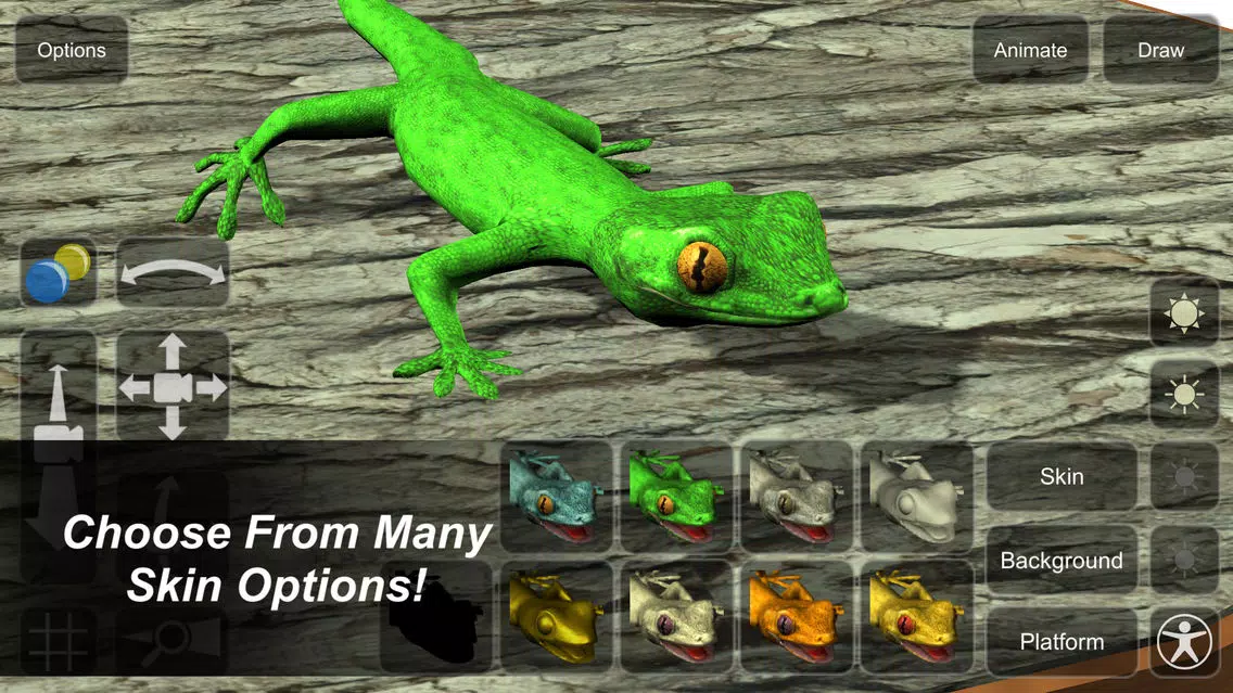 Gecko Mannequin应用截图
