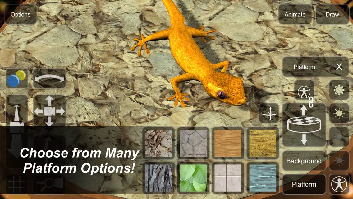 Gecko Mannequin应用截图