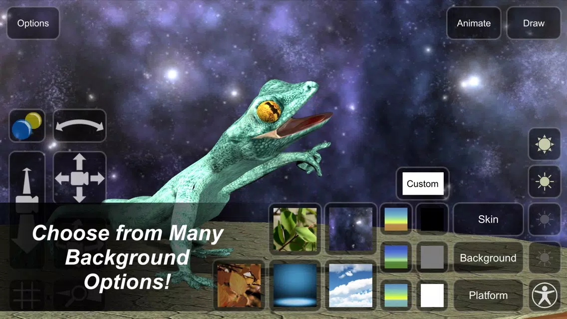 Gecko Mannequin应用截图