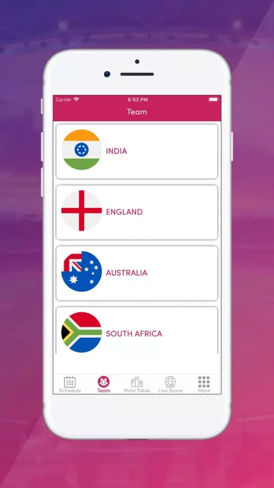 Live Score Cricket WC 2019 স্ক্রিনশট
