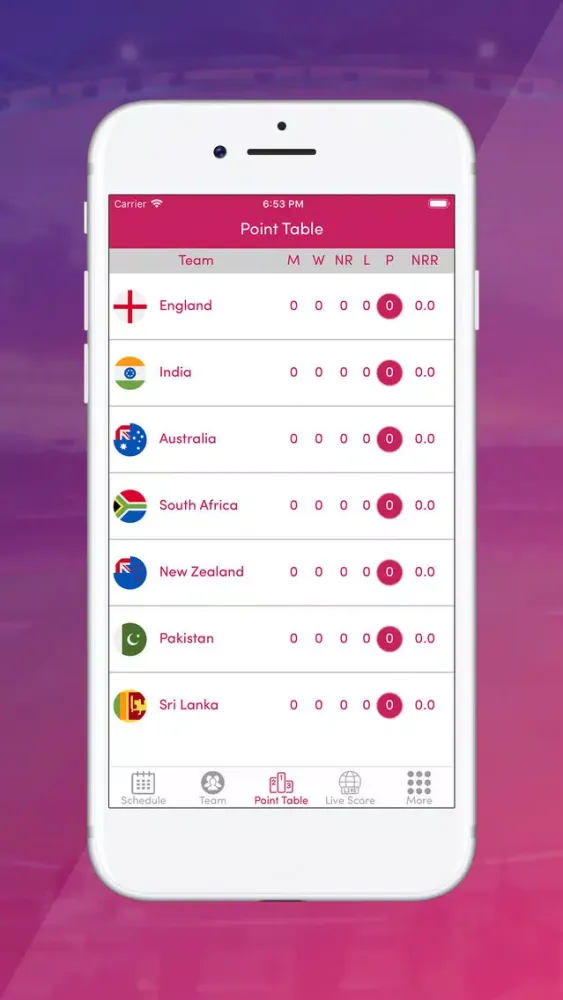 Live Score Cricket WC 2019 স্ক্রিনশট