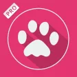 Pink Wallpapers & Backgrounds ™ Pro