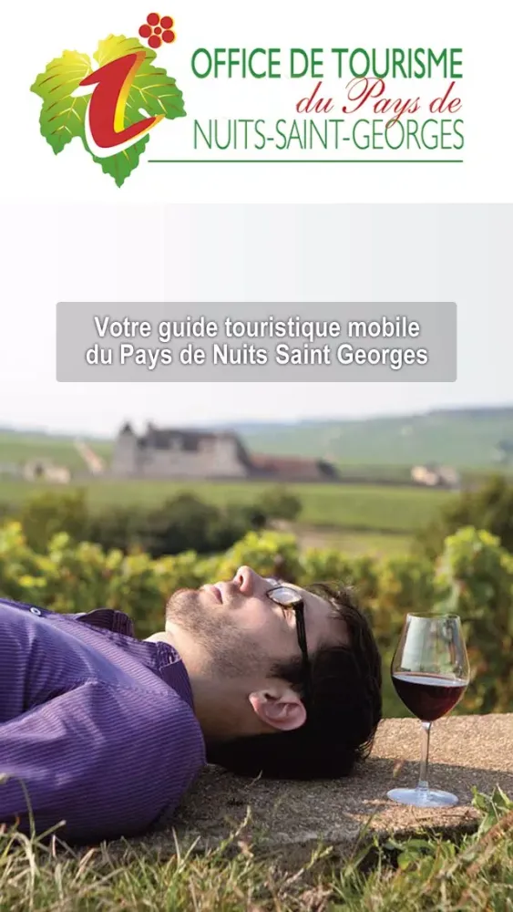 Screenshot di HOLIDAYS IN NUITS-SAINT-GEORGES REGION