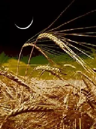 Aviv Biblical Calendar Moadim Screenshots