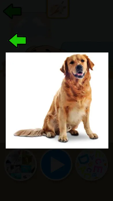 Knowing the Animals スクリーンショット
