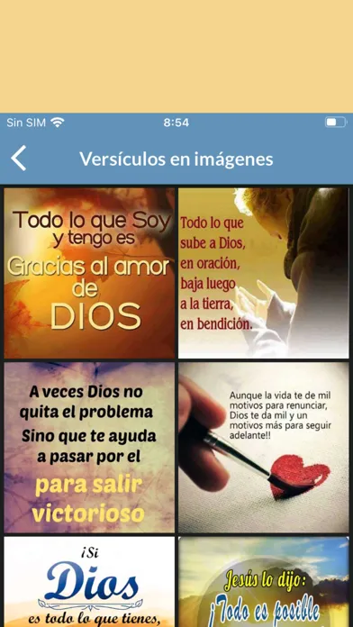 Biblia NVI en Español应用截图