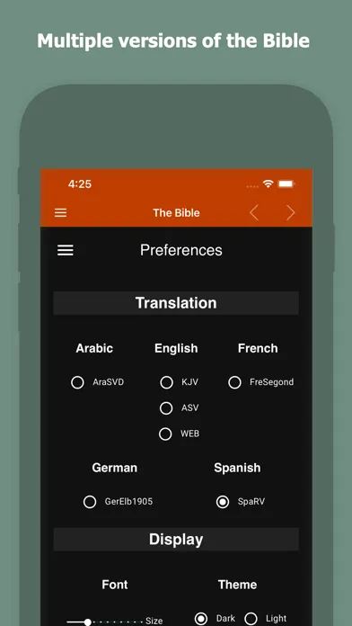 English Spanish Bible Ekran Görüntüleri