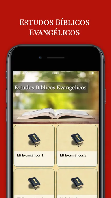 ภาพหน้าจอของ Estudos Bíblicos Evangélicos