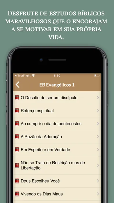 ภาพหน้าจอของ Estudos Bíblicos Evangélicos