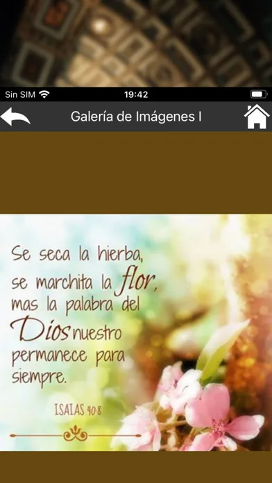 Ảnh chụp màn hình của Promesas Bíblicas y Biblia