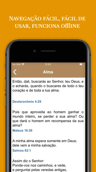 Temas Bíblicos para Pregar应用截图