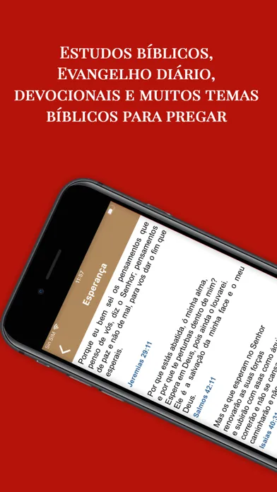 Temas Bíblicos para Pregar应用截图