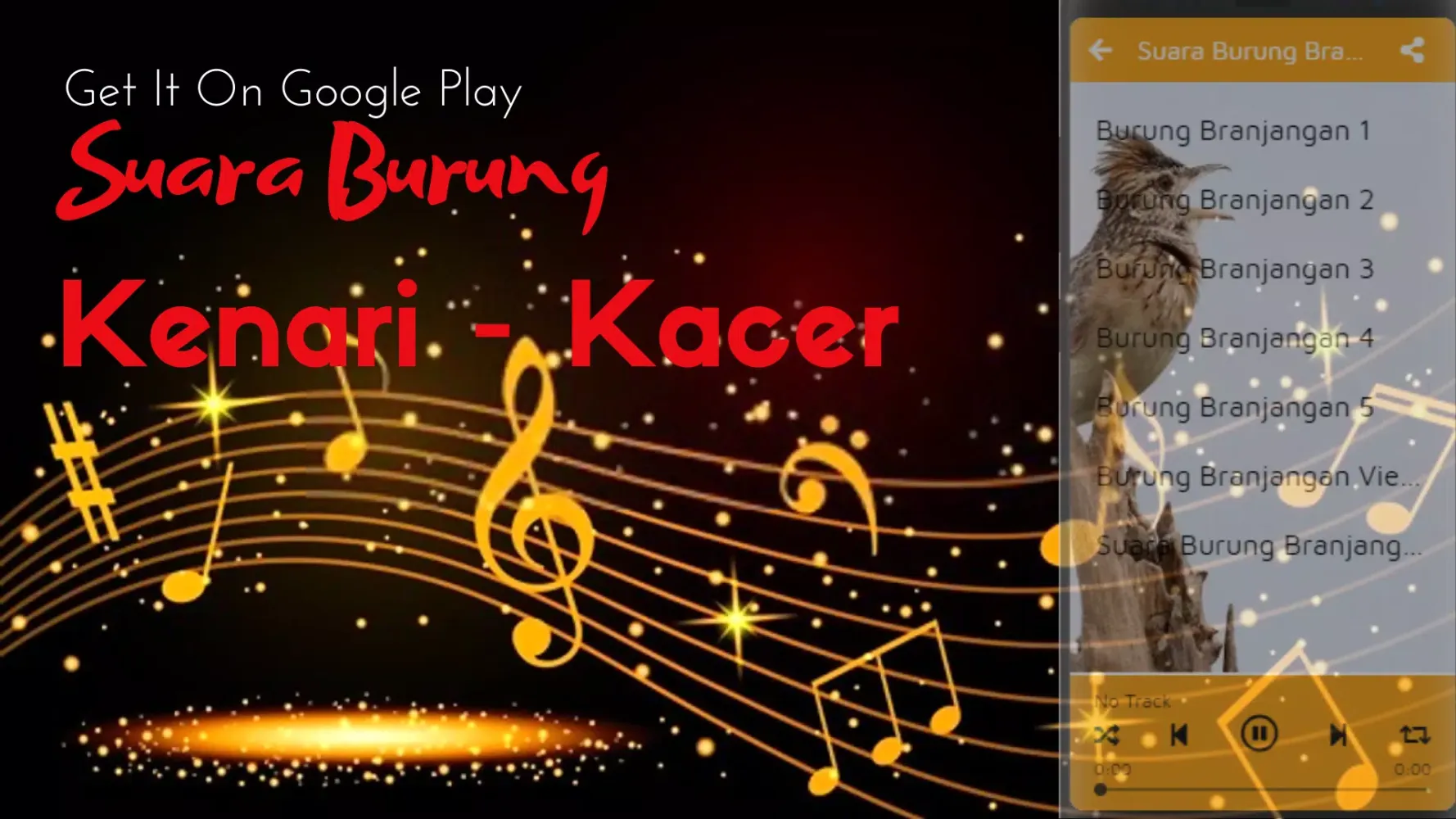 Suara Burung Kenari - Kacer Screenshots