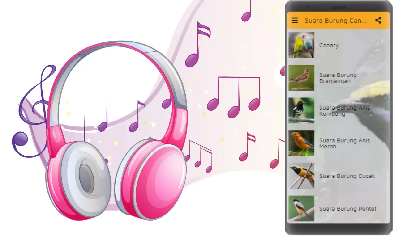 Suara Burung Kenari - Kacer Screenshots