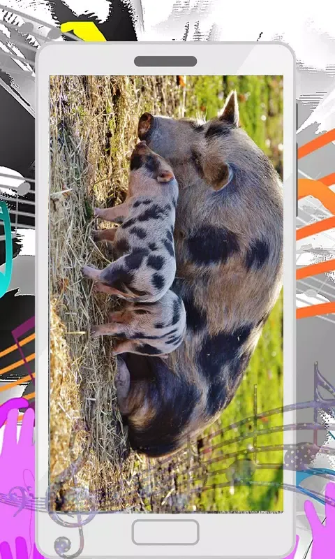 Wild Boar Sounds Screenshots