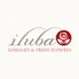 iluba