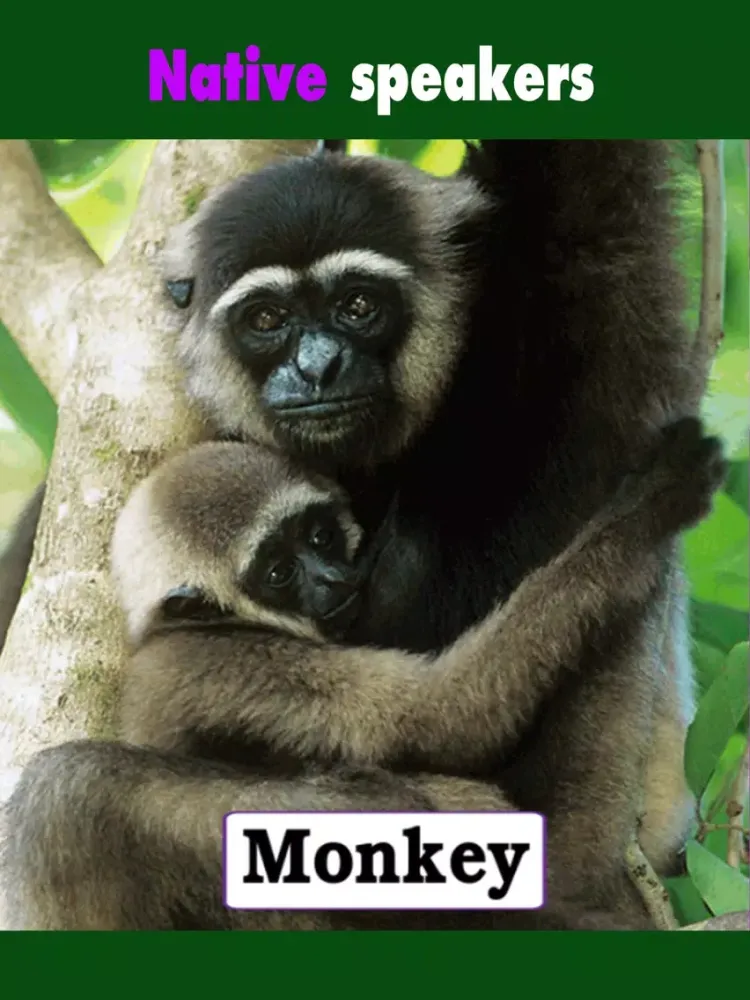 Animals puzzle cards games for kids iPad 应用截图