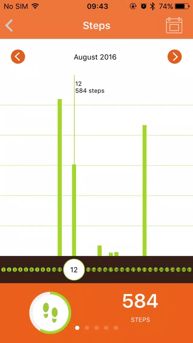 Screenshot di Lefit Basic