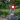 Live Satellite View GPS Map