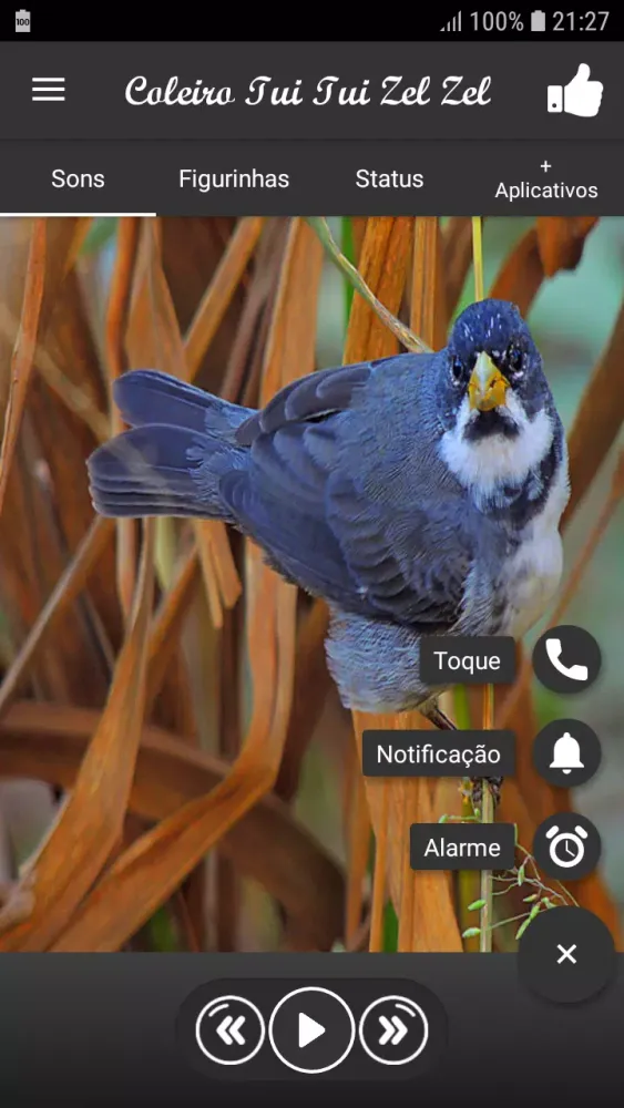 Coleiro Tui Tui Zel Zel song Screenshots