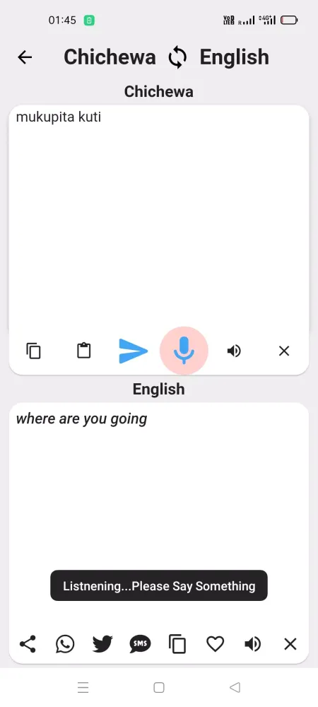 Nyanja To English Translator Screenshots