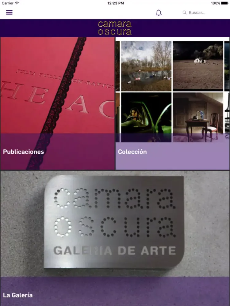 Camara Oscura Galeria de Arte iPad  스크린샷
