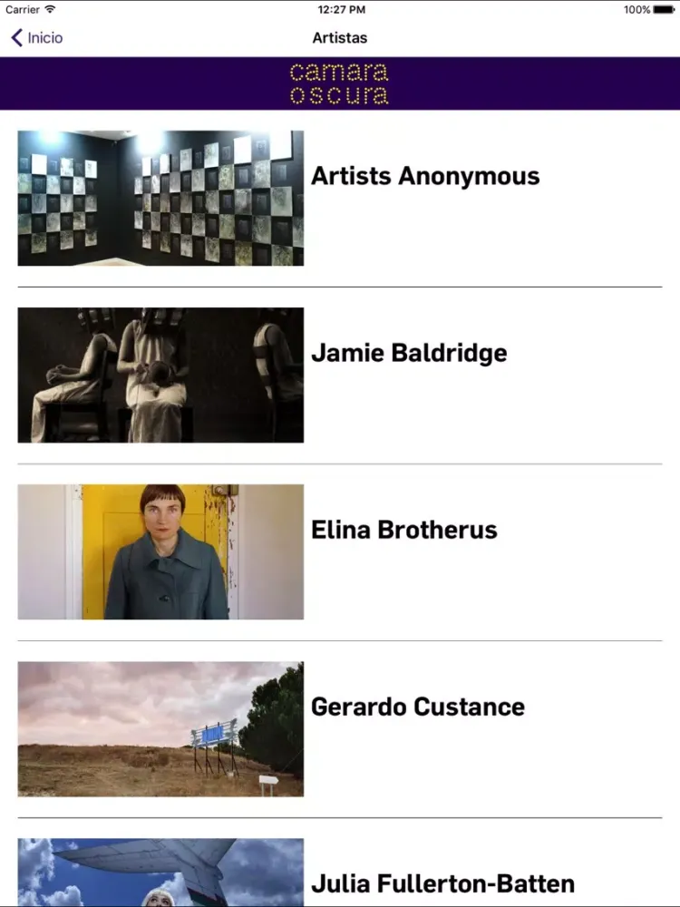 Camara Oscura Galeria de Arte iPad  스크린샷