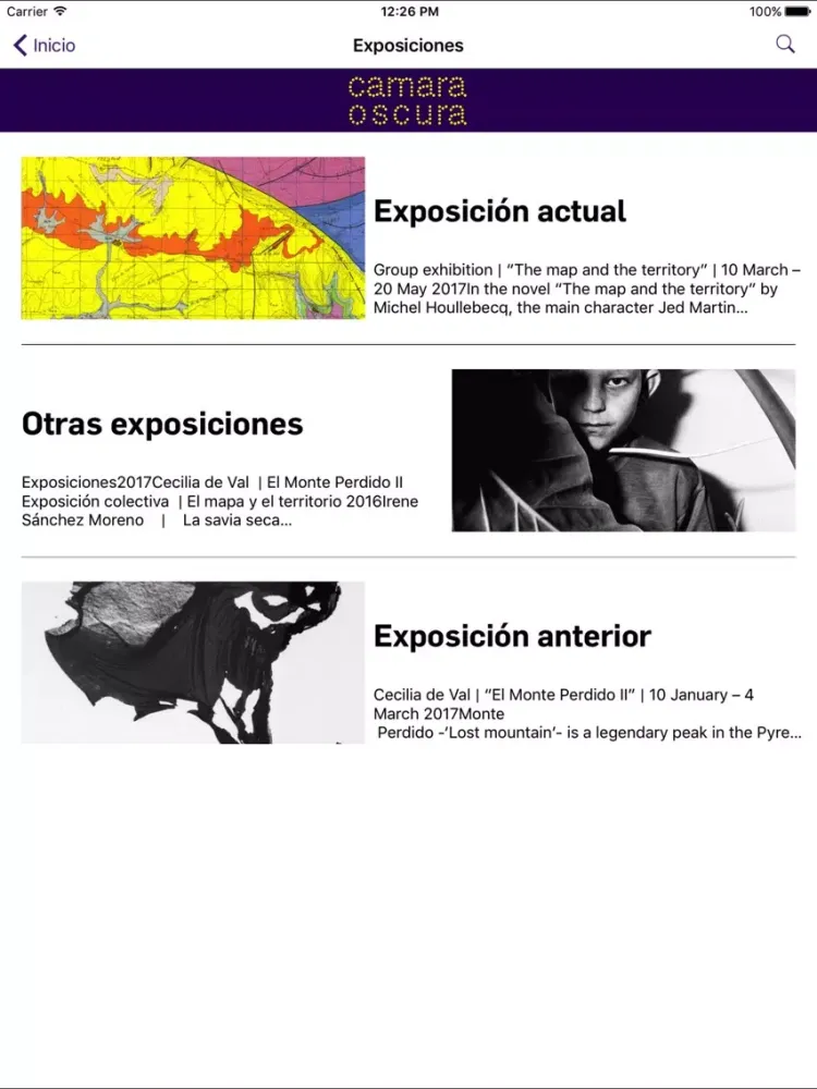 Camara Oscura Galeria de Arte iPad  스크린샷