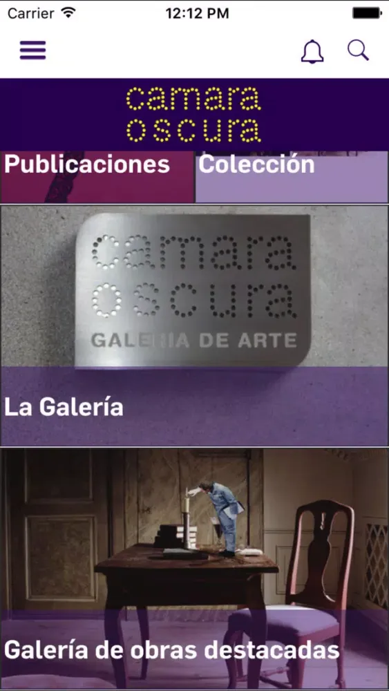 Camara Oscura Galeria de Arte 스크린샷