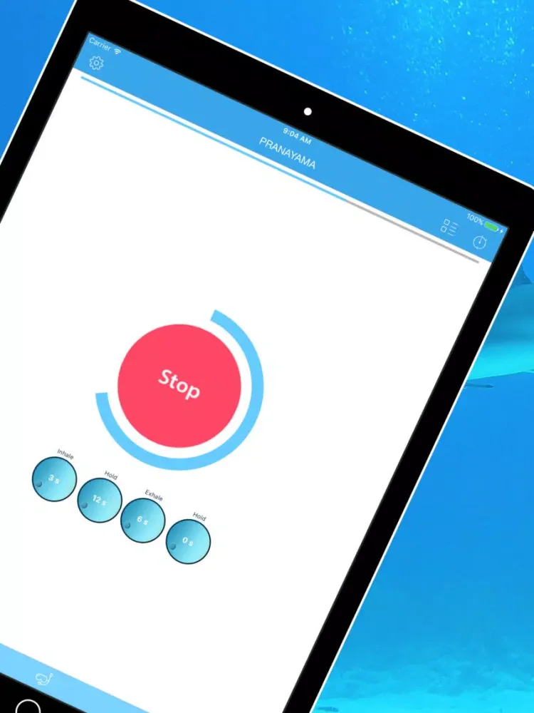 Apnea Deep Sea Breathing & Pranayama Diving Coach iPad  স্ক্রিনশট