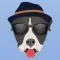 PitMojis - Pit Bull Emoji & Stickers