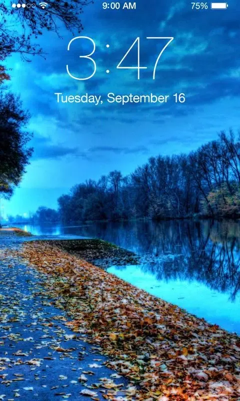 Fall Leaves Wallpaper Screenshots