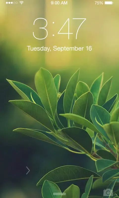 Fall Leaves Wallpaper Screenshots