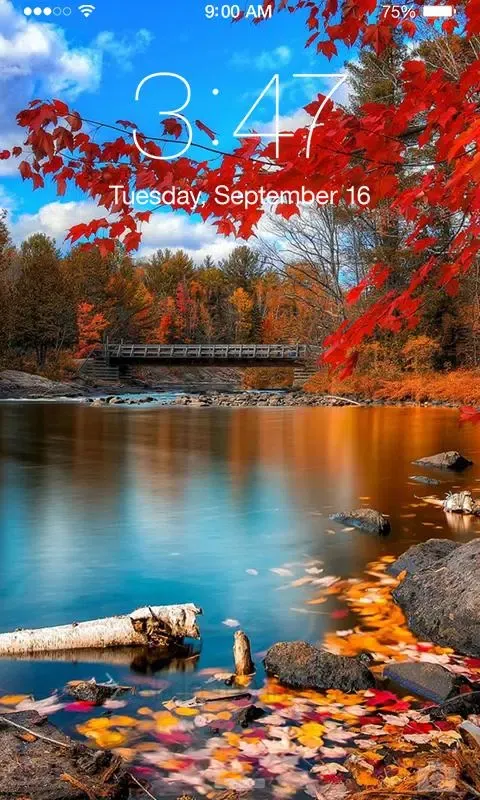 Fall Leaves Wallpaper Screenshots
