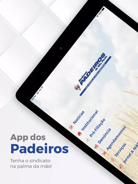 Скриншоты Padeiros iPad 