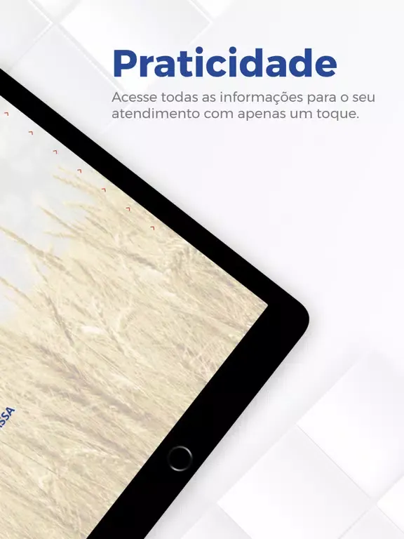 Скриншоты Padeiros iPad 